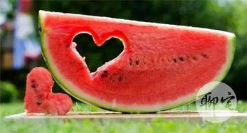 免费吃瓜官网,揭秘网络娱乐新潮流,畅享无界限的趣味盛宴