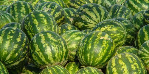 娱乐吃瓜酱江苏